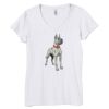 Bella Women's V-Neck T-Shirt Thumbnail